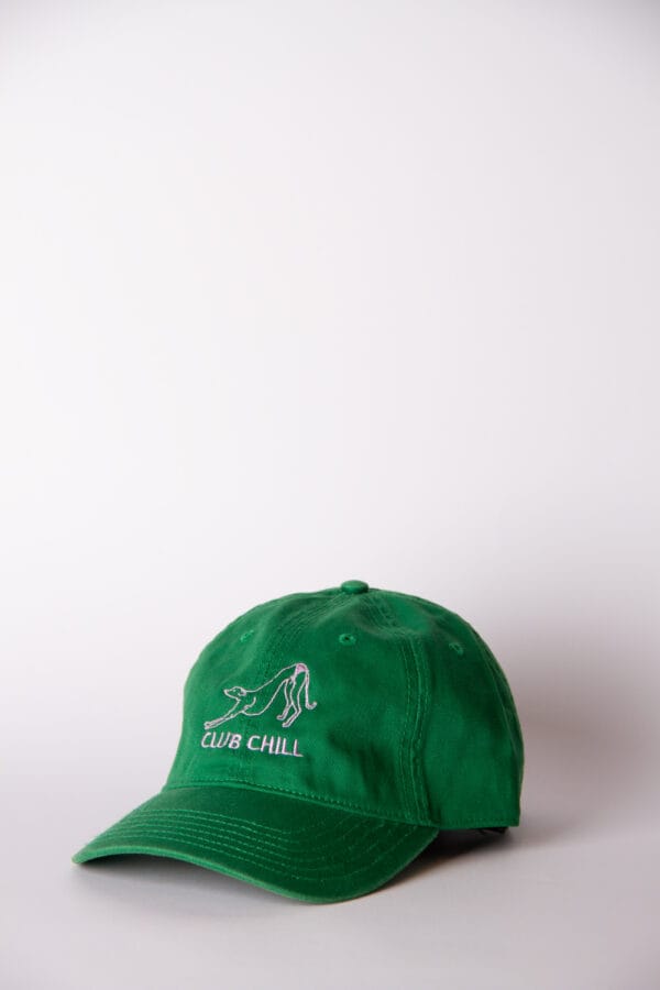 CAP CHILL VERDE / LILA